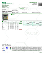 CBD Potion Lotion With Mint (1000mg)