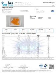 Experience Delta 9 Square Gummies Mango Flavor (450MG)