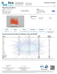 Experience Delta 9 Square Gummies Strawberry Flavor (450MG)