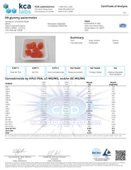 Experience Delta 9 Square Gummies Watermelon Flavor (450MG)