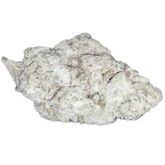Trop Cherry THCA Snowcaps
